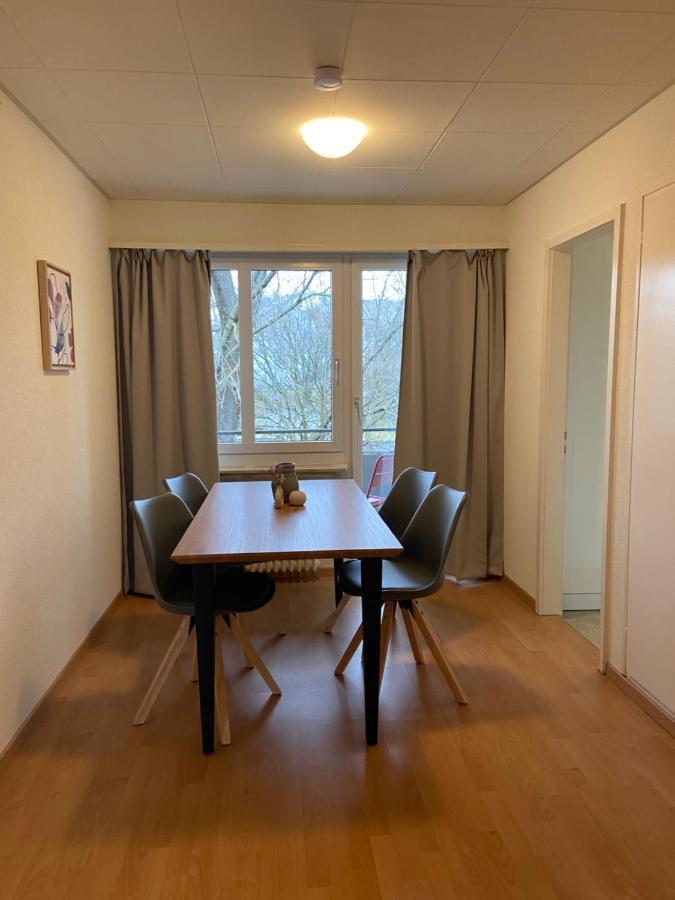 Comfort 1 And 2Bdr Apartment Close To Zurich Airport 외부 사진
